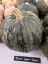 Winter Squash Seeds - Black Sweet Potato