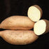 White Bonita Sweet Potatoes, Organic