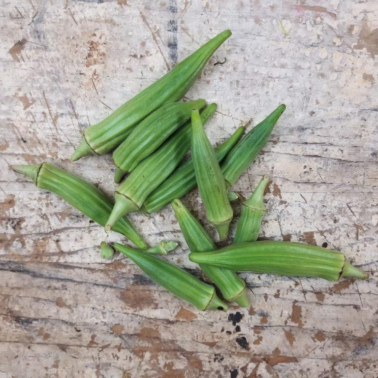 Okra Seeds - Bradford Family - Sow True Seed