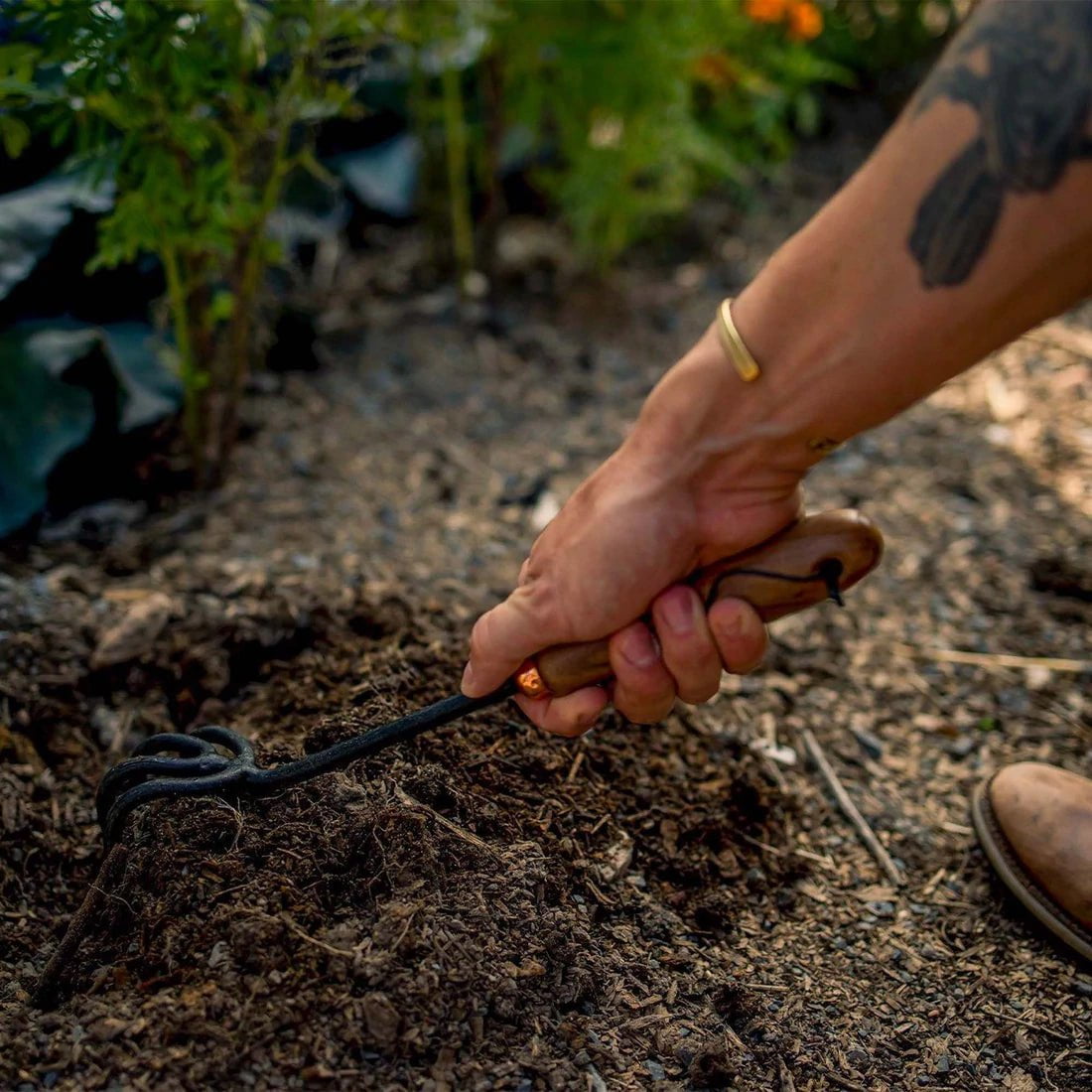 Cultivator Hand Tool - Sow True Seed