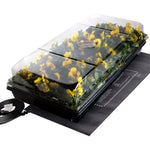 Germination Station - Sow True Seed