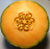 Melon Seeds - Amish Cantaloupe, ORGANIC - Sow True Seed