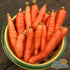 Carrot Seeds - Little Finger, ORGANIC