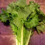 Chinese Cabbage Seeds - Michihli - Sow True Seed