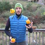 Sweet Pepper Seeds - Golden California Wonder, ORGANIC - Sow True Seed