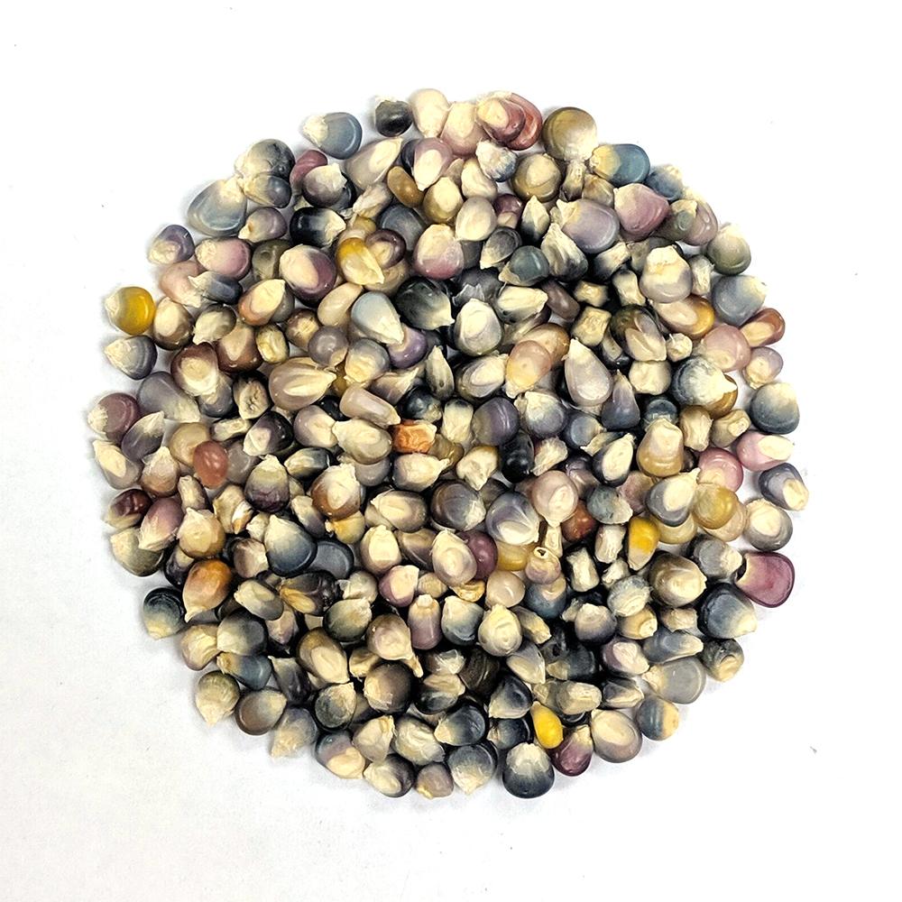 Popcorn Seeds - Glass Gem - Thumbnail 2