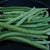 Southern Pea Seeds - Mississippi Silver - Sow True Seed