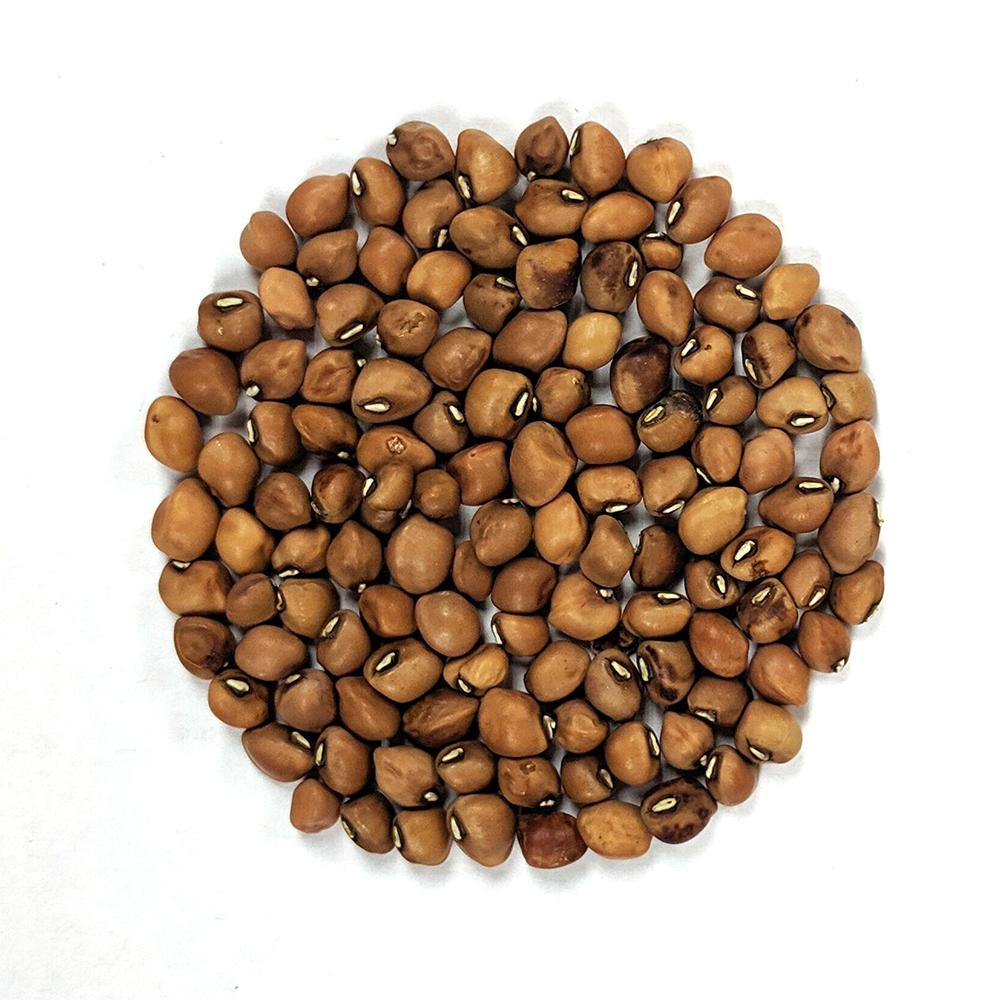 Southern Pea Seeds - Mississippi Silver - Sow True Seed