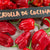 Sweet Pepper Seeds - Criolla de Cocina - Sow True Seed