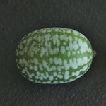 Specialty Cucumber Seeds, Mexican Sour Gherkin, ORGANIC - Sow True Seed