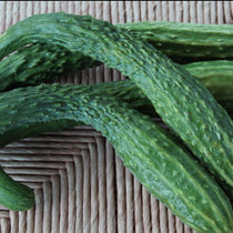 Slicing Cucumber Seeds - Suyo Long, ORGANIC - Sow True Seed