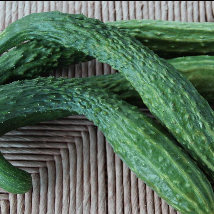 Slicing Cucumber Seeds - Suyo Long, ORGANIC - Sow True Seed