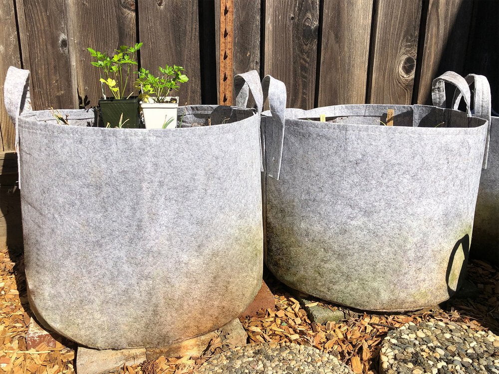 Dirt Pot With  Handle - Sow True Seed