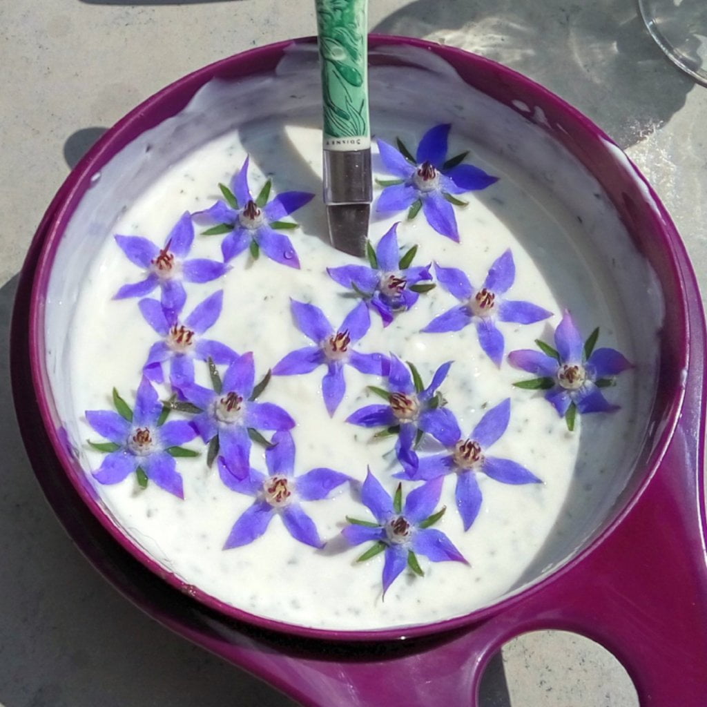 buy edible flower seeds Flower Seed Mix