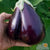 Eggplant Seeds - Black Beauty, ORGANIC - Sow True Seed