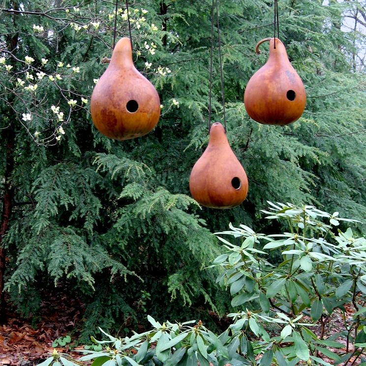 Birdhouse Birdhouse