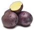 Huckleberry Gold Potato, ORGANIC