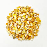 Sweet Corn Seeds - Hawaiian Supersweet #9 - Sow True Seed