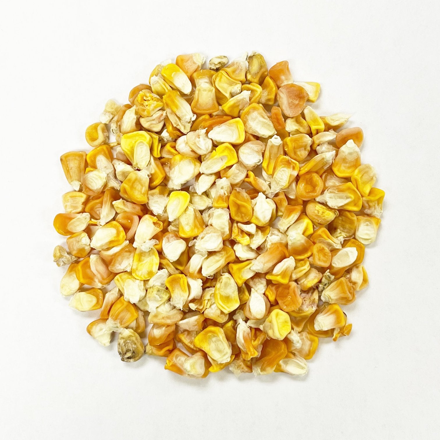 Sweet Corn Seeds - Hawaiian Supersweet #9 - Sow True Seed