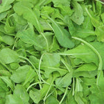 Arugula Seeds - Arugula, ORGANIC - Sow True Seed