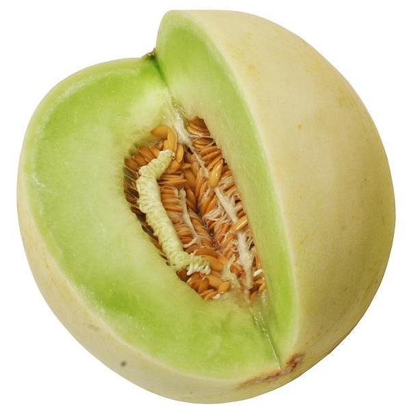 Melon Seeds Honeydew, Green Flesh, ORGANIC Sow True Seed