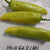 Hot Pepper - Hungarian Yellow Hot Wax, ORGANIC - Sow True Seed