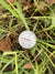 Soil Thermometer - Sow True Seed