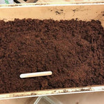 Coco Fiber Potting Soil - Sow True Seed