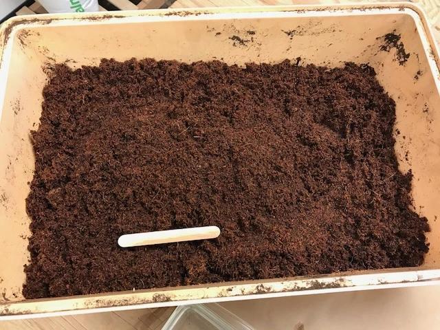 Coco Fiber Potting Soil - Sow True Seed