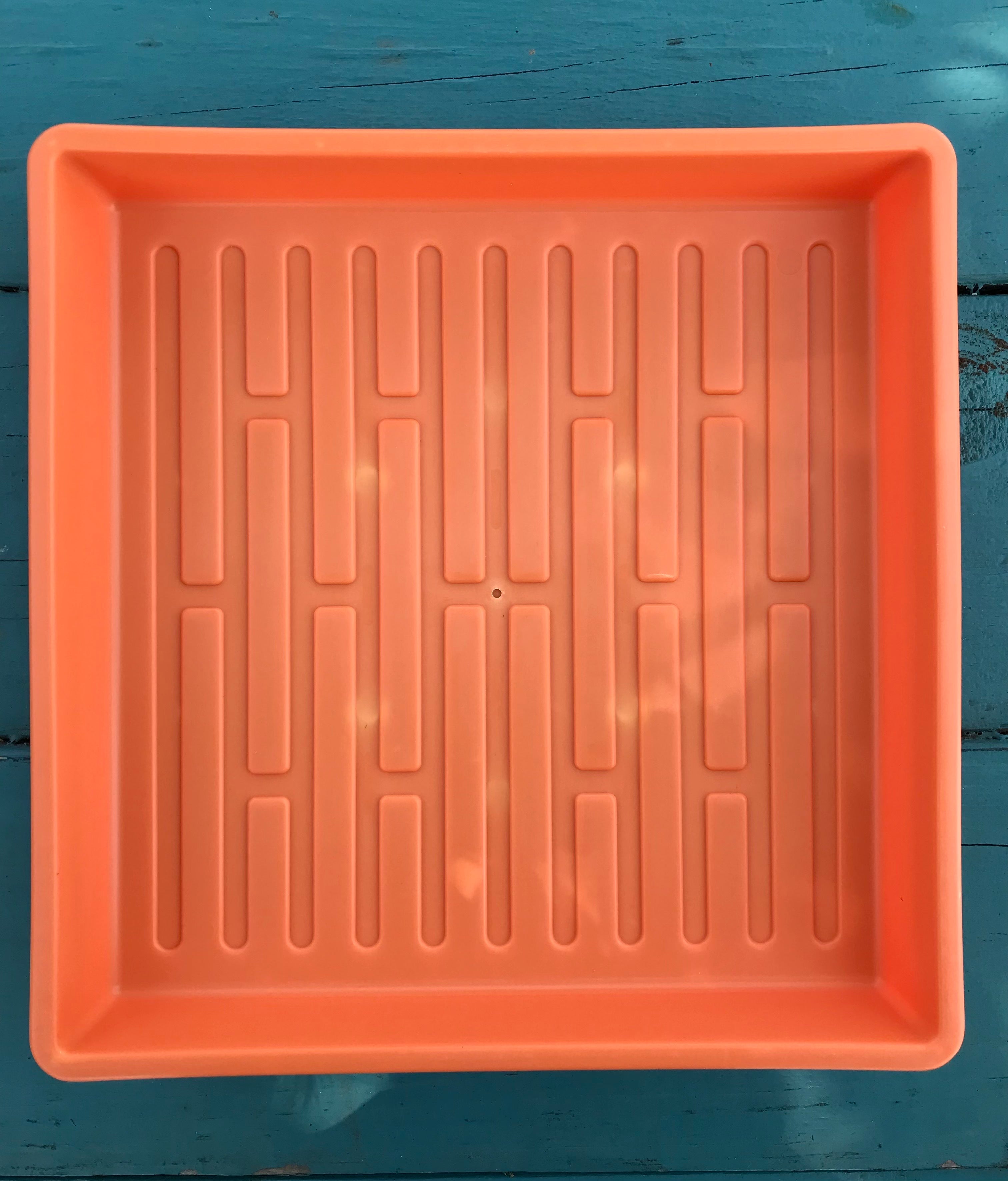 Microgreen Tray 10'' X 10" - Sow True Seed