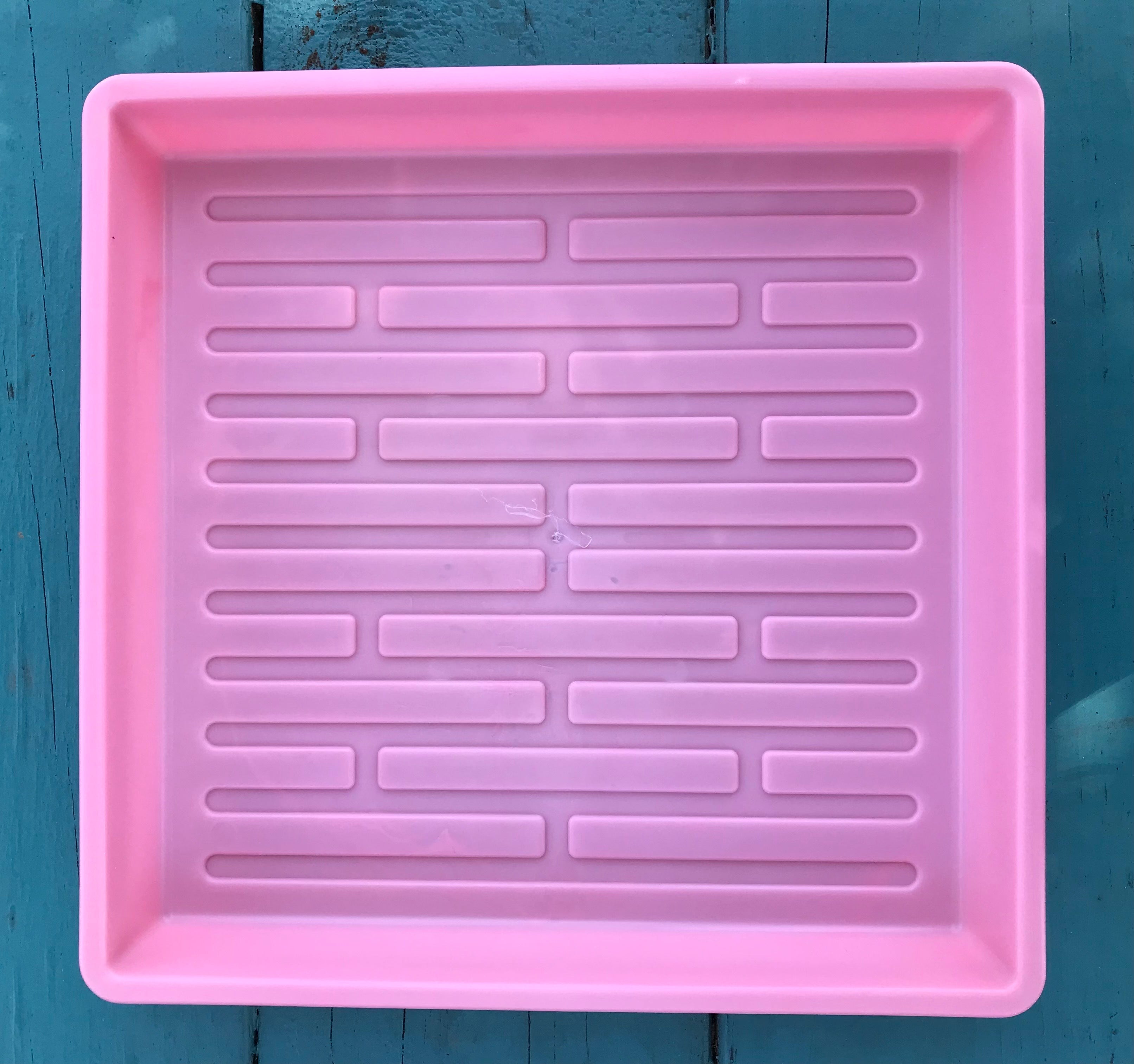 Microgreen Tray 10'' X 10" - Sow True Seed
