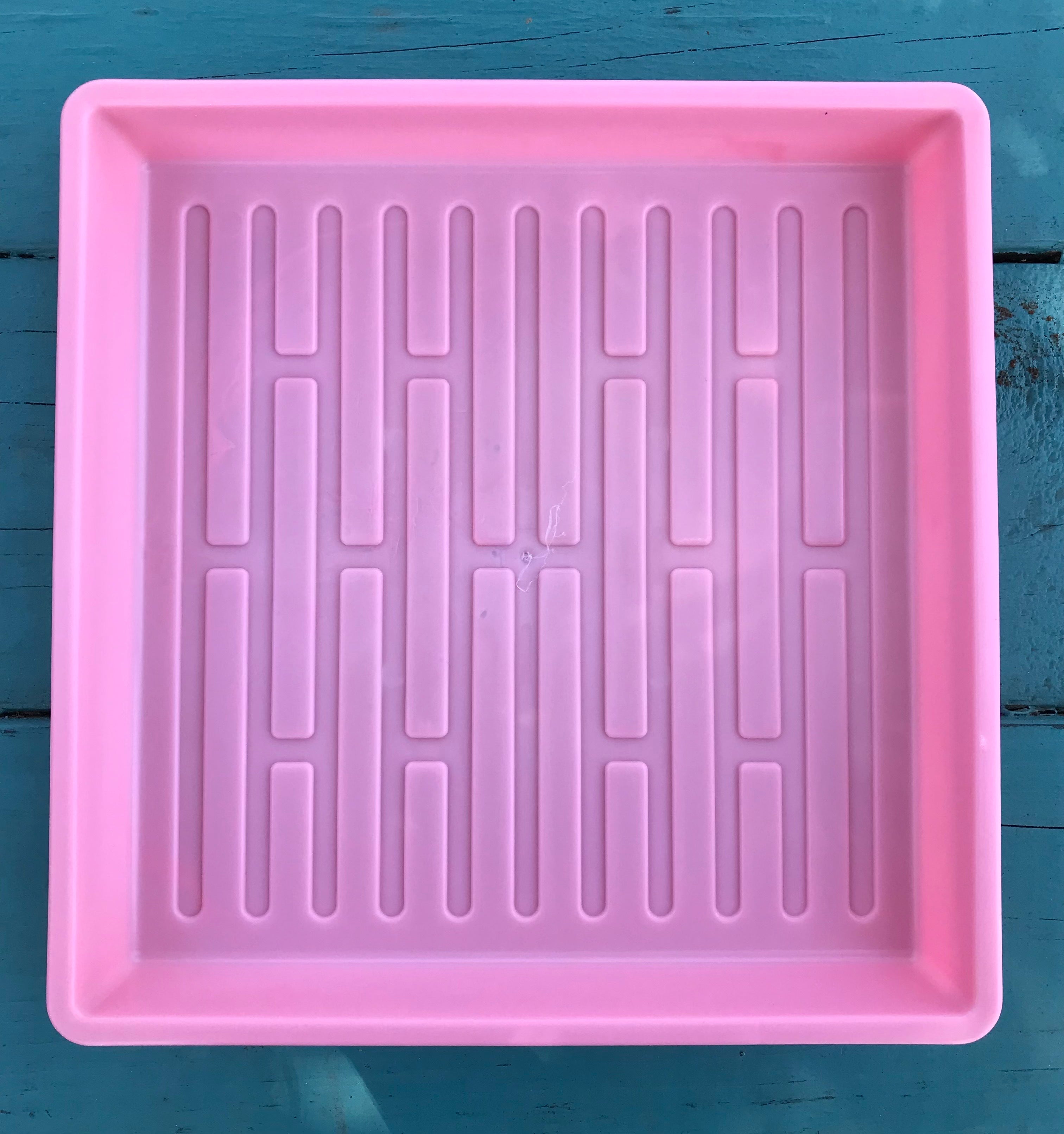 Microgreen Tray 10'' X 10" - Sow True Seed