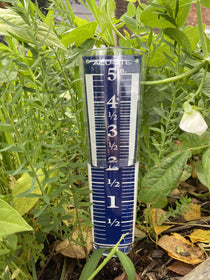 Magnifying Rain Gauge - Sow True Seed