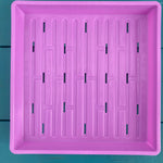Microgreen Tray 10'' X 10" - Sow True Seed