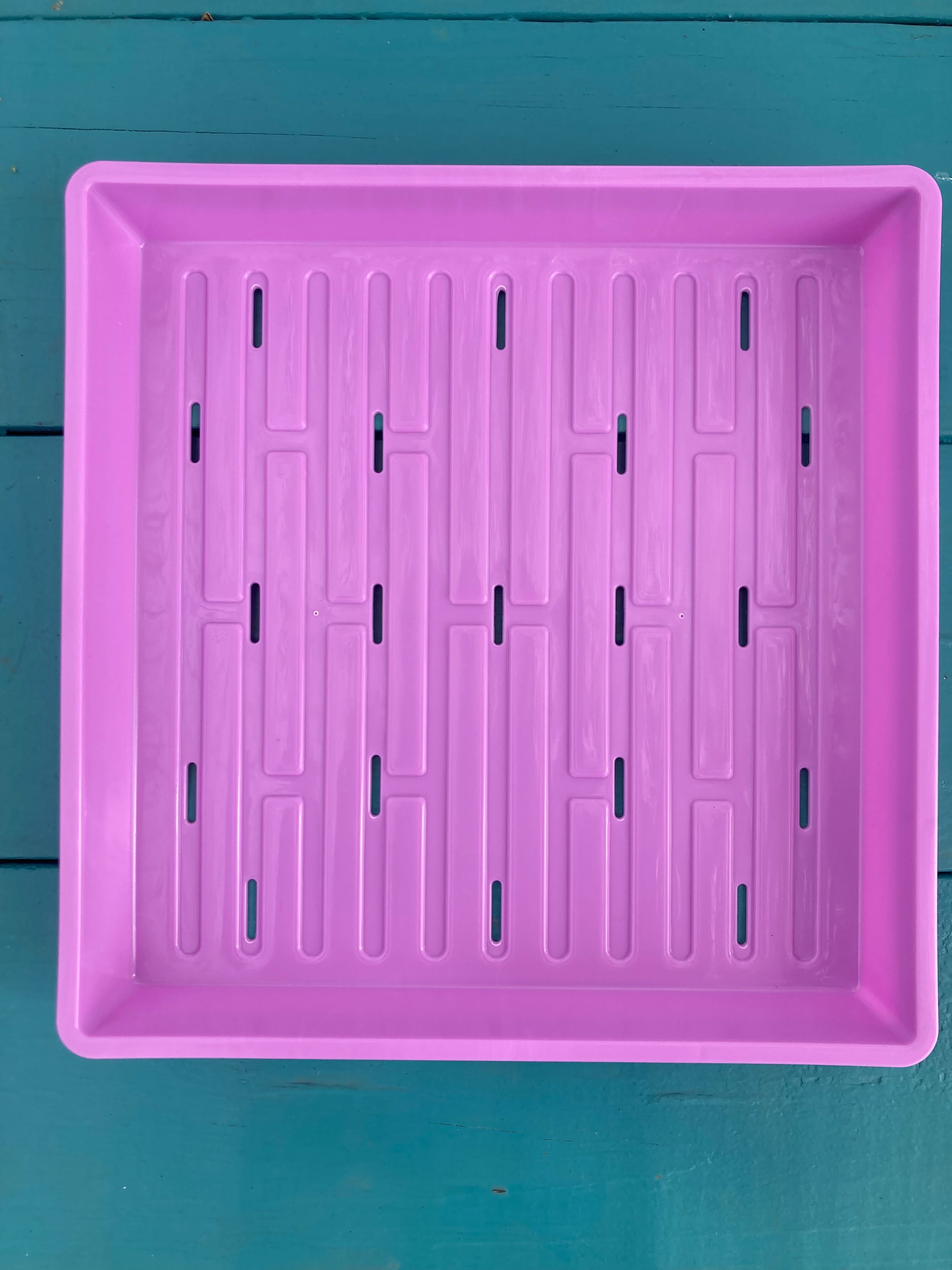 Microgreen Tray 10'' X 10" - Sow True Seed