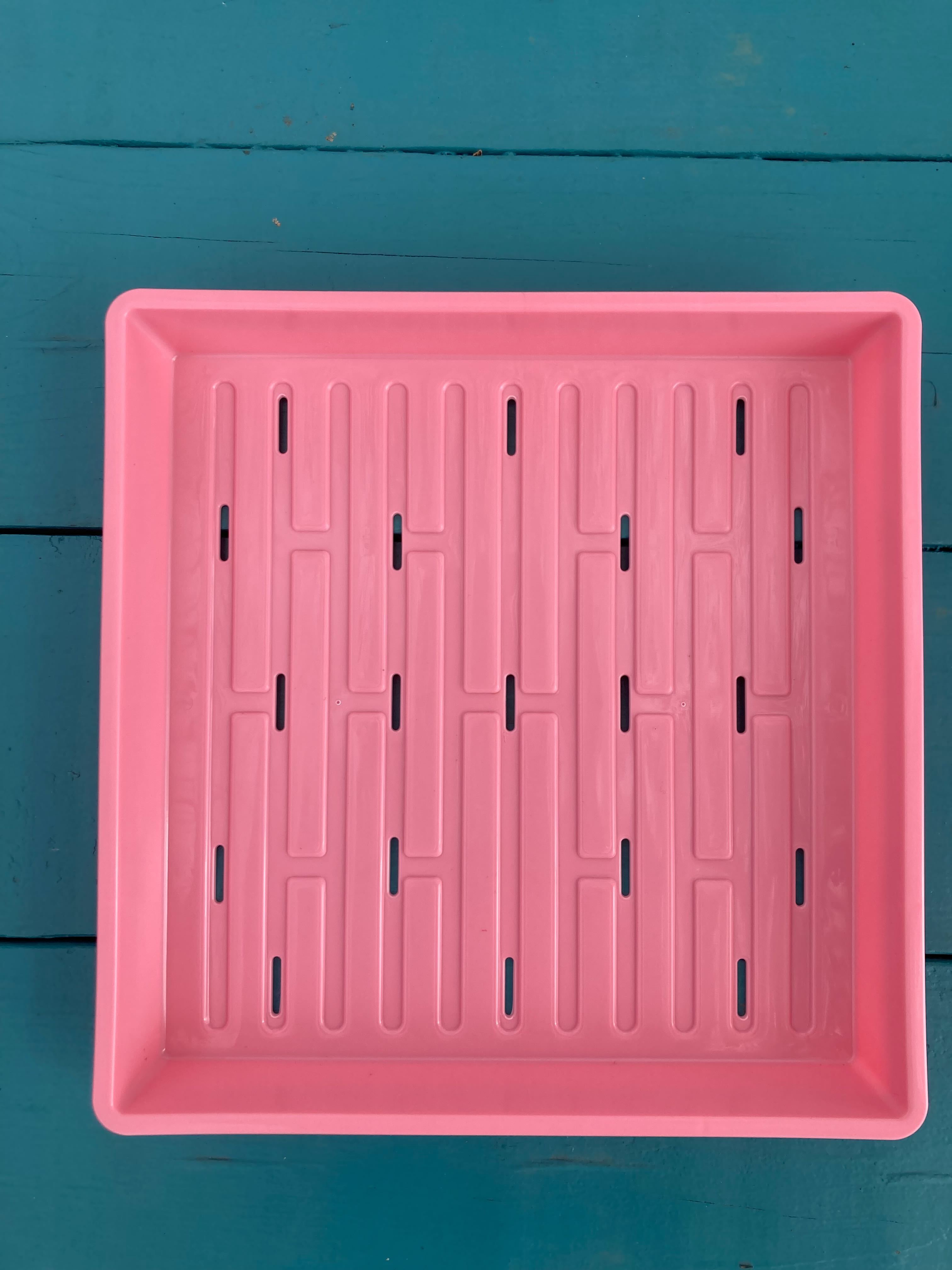 Microgreen Tray 10'' X 10" - Sow True Seed