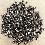 Sorghum Seeds - White African - Sow True Seed