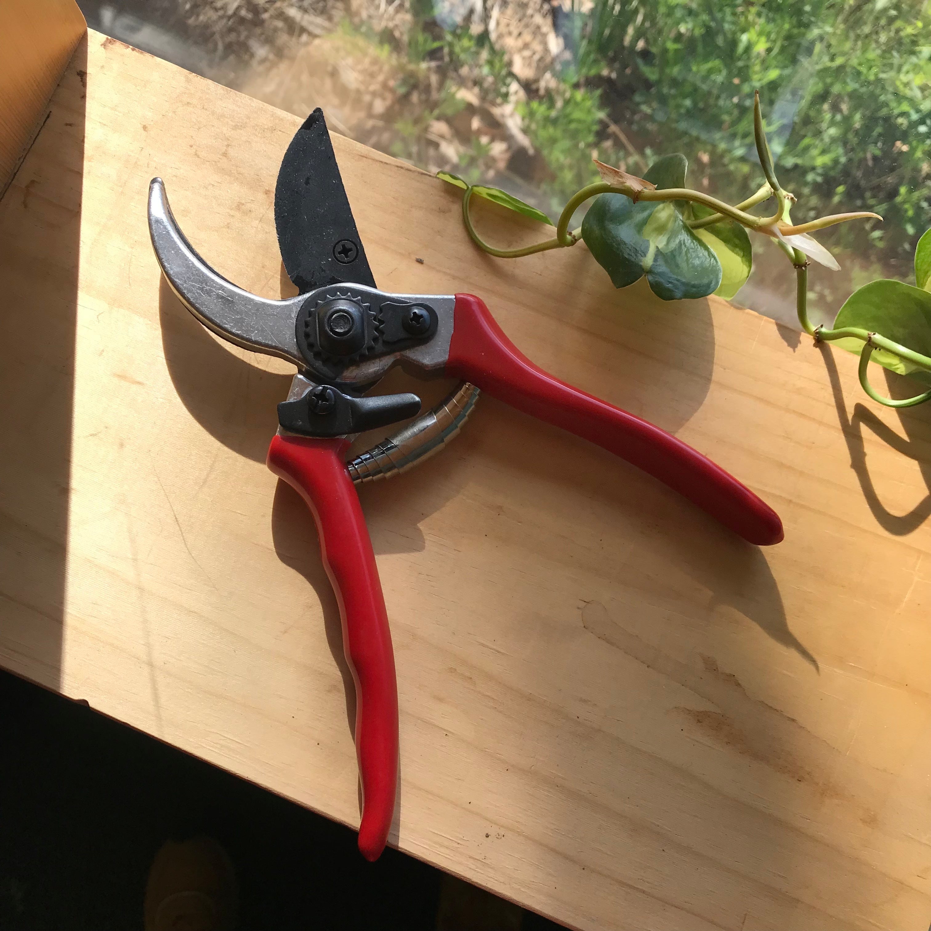 Pruning Shears - Sow True Seed