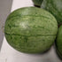 Watermelon Seeds - Jubilee Bush