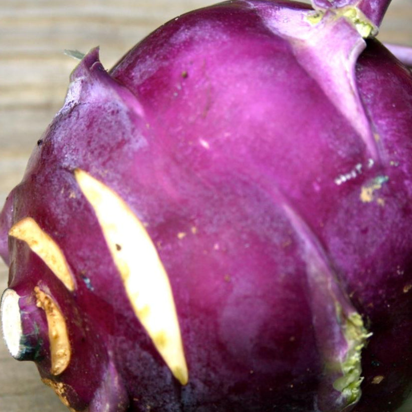 Kohlrabi Seeds - Purple Vienna - Sow True Seed