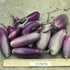 Eggplant Seeds - Kopek, ORGANIC