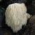 Lions Mane Mushroom Plugs - Sow True Seed