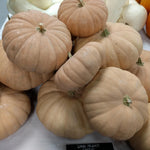 Winter Squash Seeds, Long Island Cheese - Sow True Seed