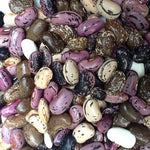 Runner Bean - Luther's Mixed Colors - Sow True Seed
