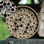 Native Bee House - Mason Bee House - Sow True Seed