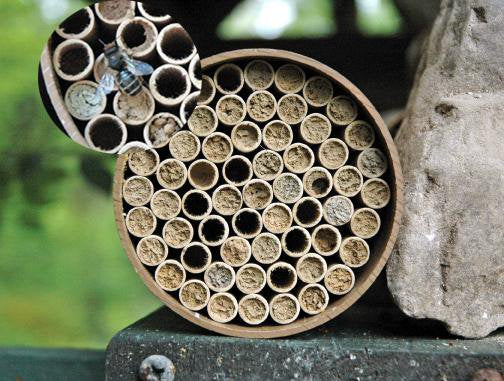 Native Bee House - Mason Bee House - Sow True Seed