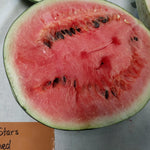 Watermelon - Moon and Stars Red - Sow True Seed