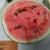 Watermelon - Moon and Stars Red - Sow True Seed