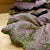 Mustard Greens - Giant Red - Sow True Seed