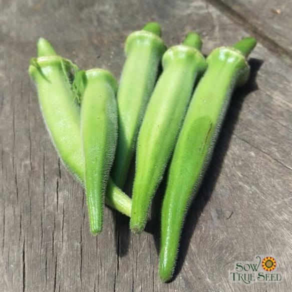 Okra Seeds- Clemson Spineless 80 - Sow True Seed